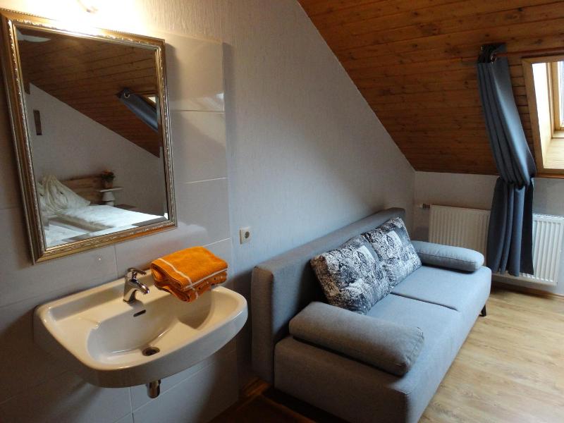Large One-Bedroom Apartment image 4