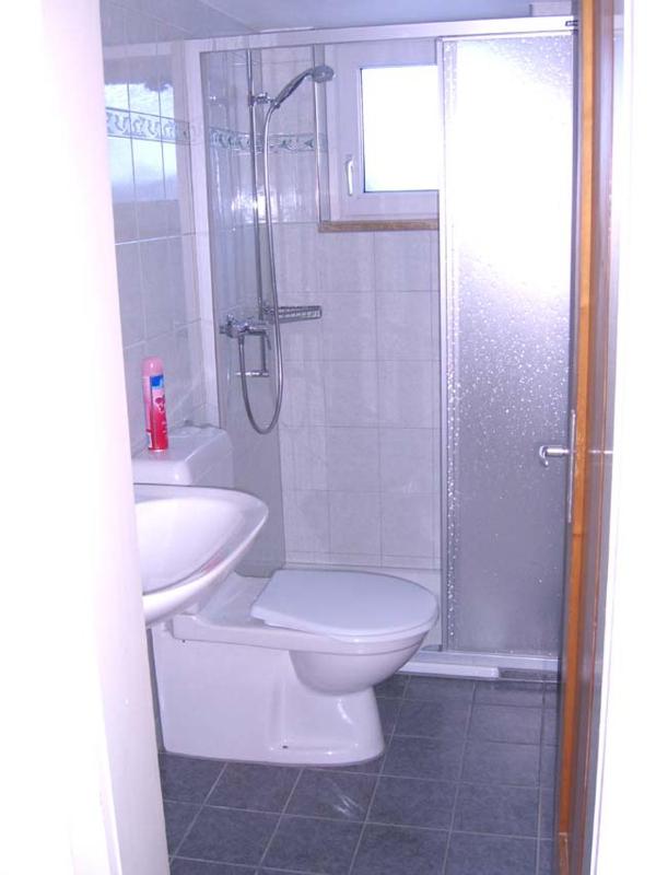 One-Bedroom Apartment image 2