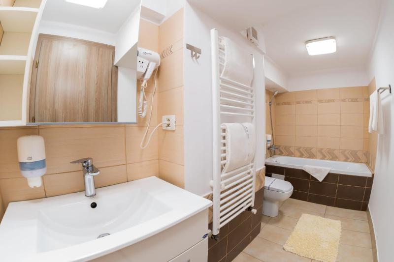 One-Bedroom Apartment image 4