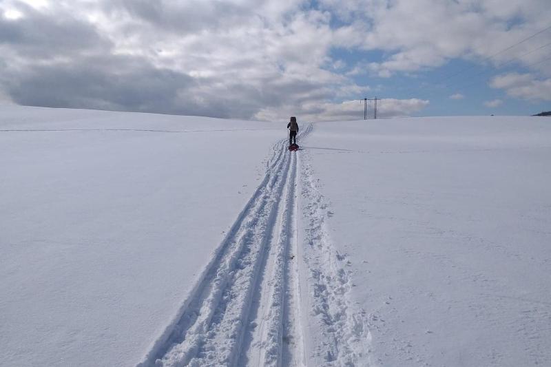 One-Bedroom Apartment image 2