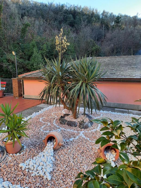 B&B Vignola - image 17
