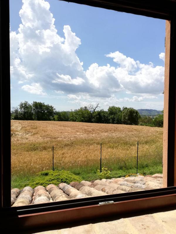 Conero mare campagna il Casale Le Maschere appartamenti - image 28