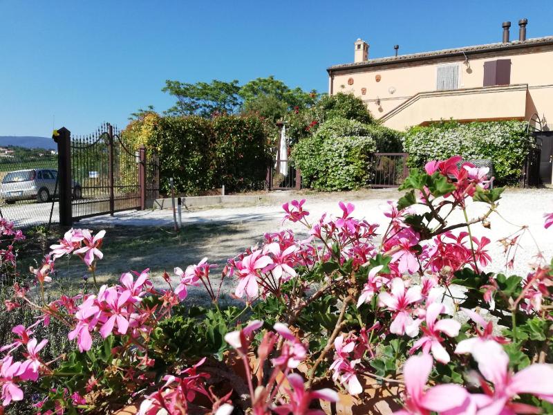 Conero mare campagna il Casale Le Maschere appartamenti - image 31