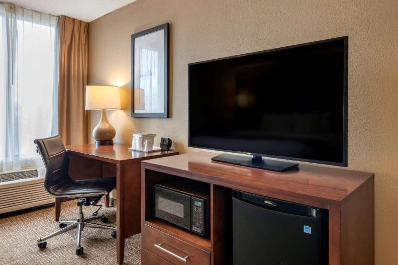 Deluxe King Suite - Non-Smoking image 4