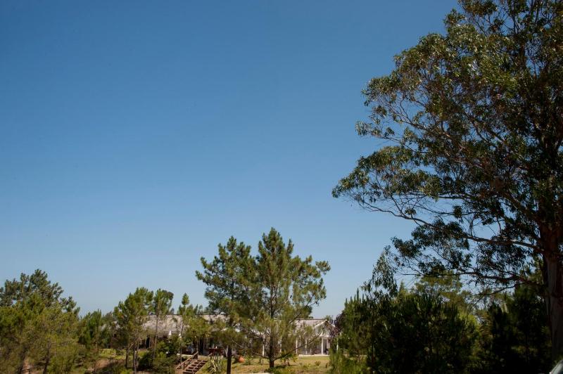 Casal do Frade - image 19