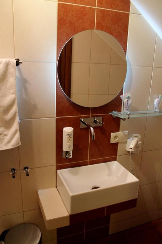 Standard Single Room image 4