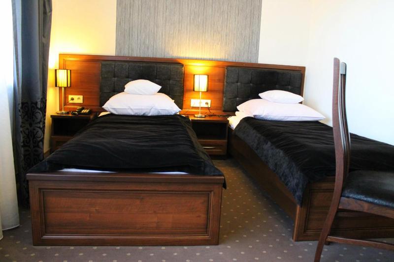 Standard Twin Room image 2