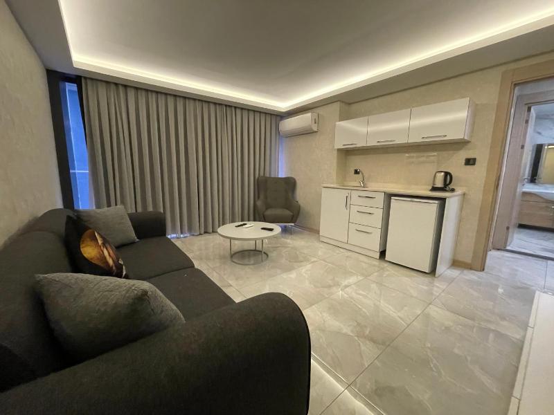 One-Bedroom Apartment image 4