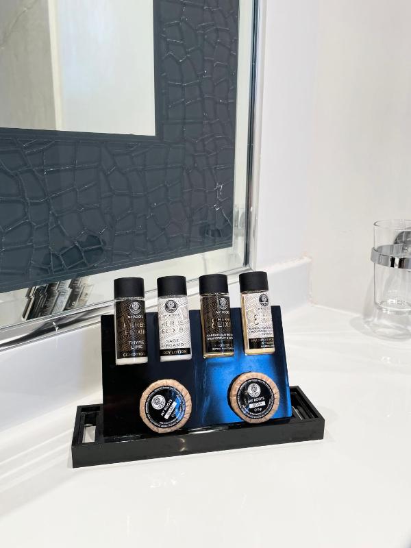 Deluxe Suite image 4