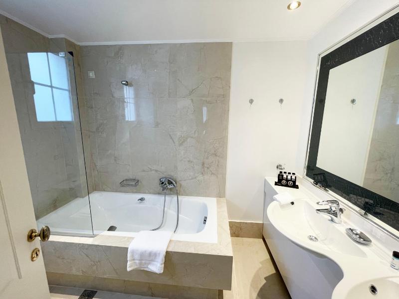 Deluxe Suite image 3