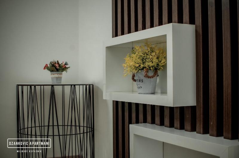 One-Bedroom Apartment  image 3