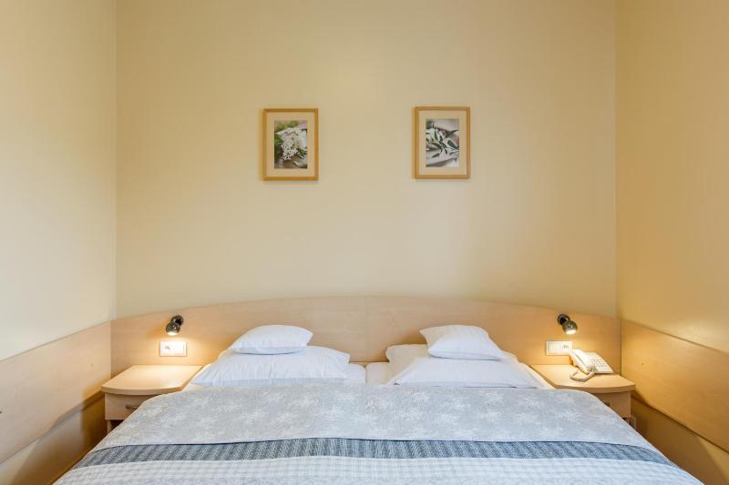 Comfort Double Room image 3