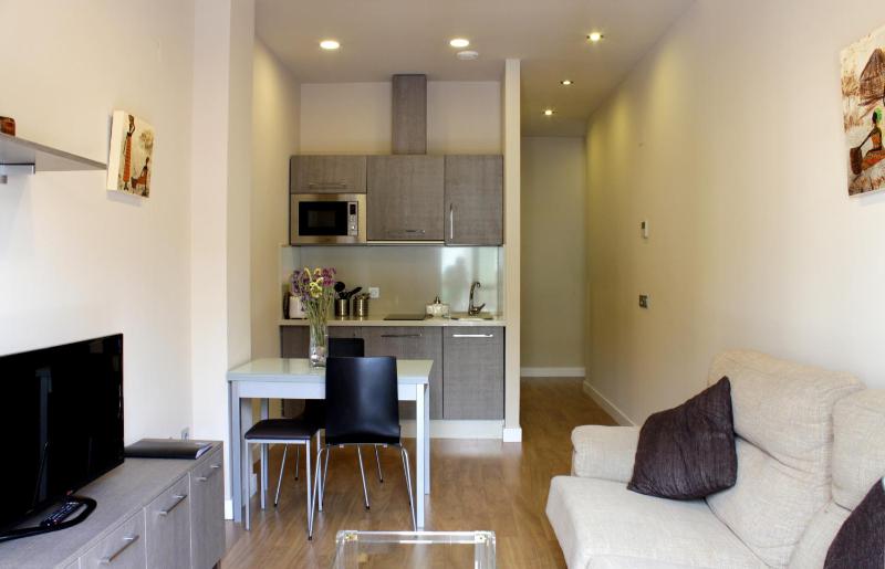 One-Bedroom Apartment image 1