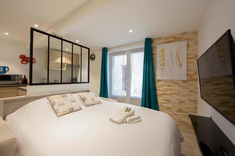 Brand-new atypical studio in rue Fourmillière - image 2