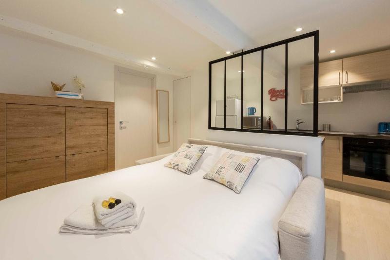 Brand-new atypical studio in rue Fourmillière - image 6