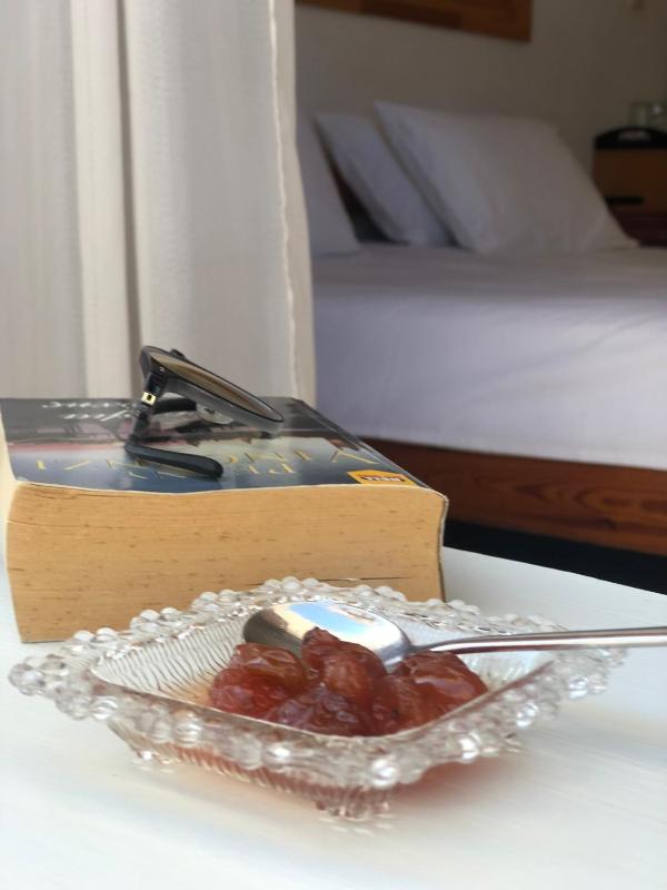 Anastasis Rental Rooms - image 19