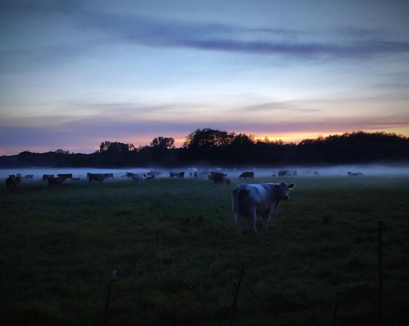 Double Room with Balcony image 2