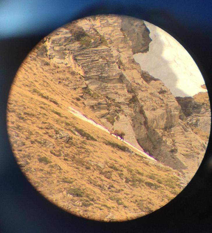 Montagn'Arcs - image 15