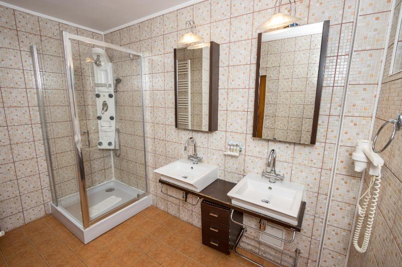 Superior One-Bedroom Suite image 2