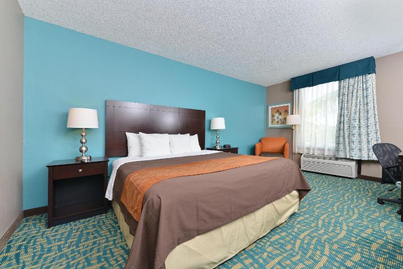 King Room - Non-Smoking image 4