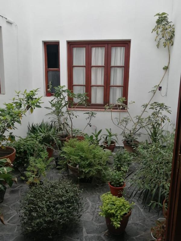 Terraza de la Usina - image 7