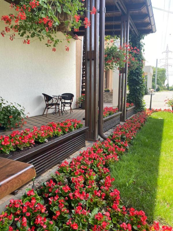 Double or Twin Room image 4