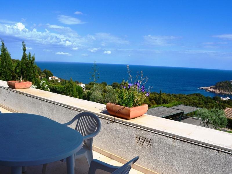 Apartment les oliveres - image 25