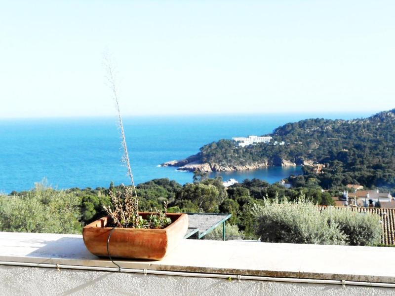 Apartment les oliveres - image 18