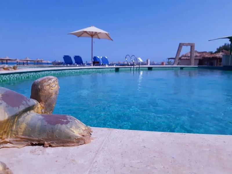 Studio  Side Sea View  Pool  Turtles Beach - image 13