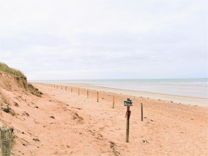 Les Jacinthes - image 20
