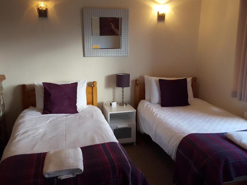Standard Twin Room image 1