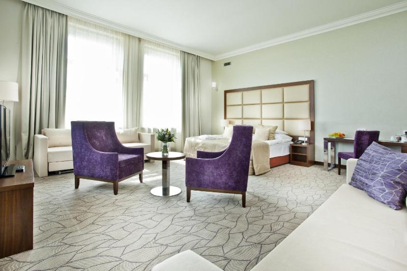 Junior Suite with Spa Access image 2