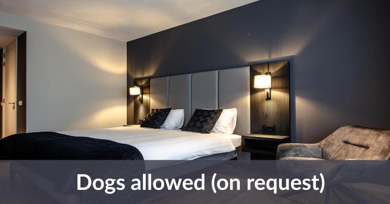 Comfort Plus Room image 4