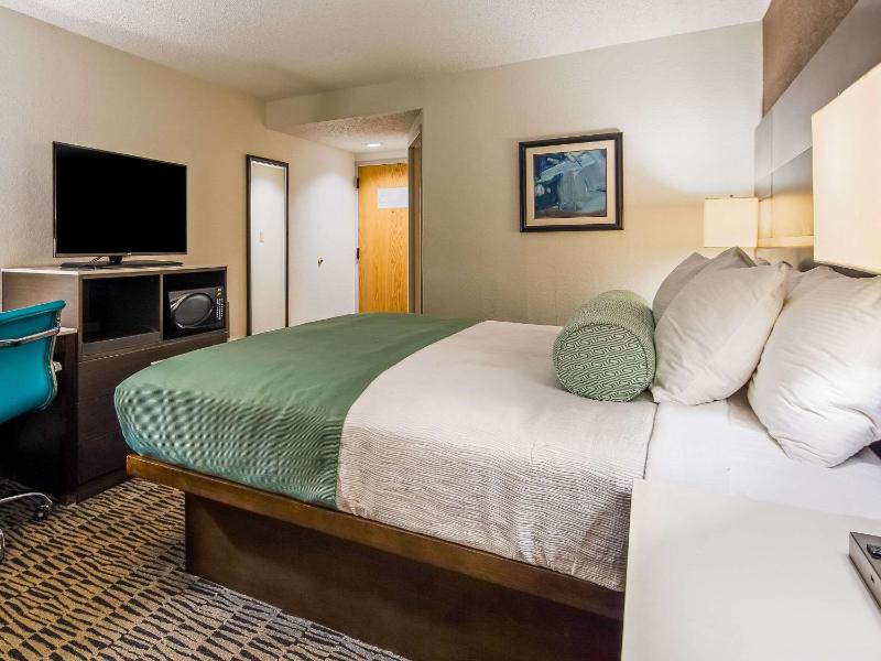 Standard King Room - Non Smoking