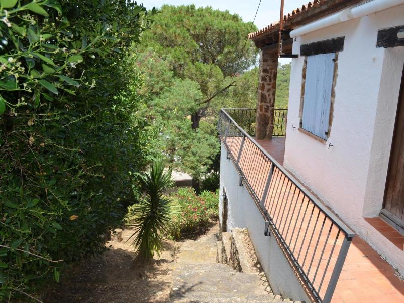 Casa minipa - image 9