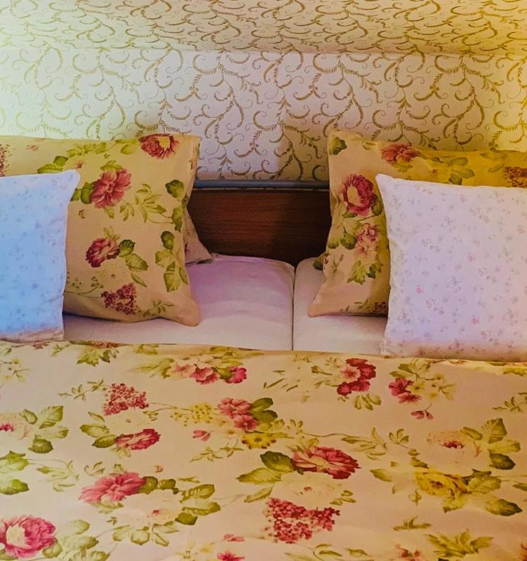 Double or Twin Room image 4