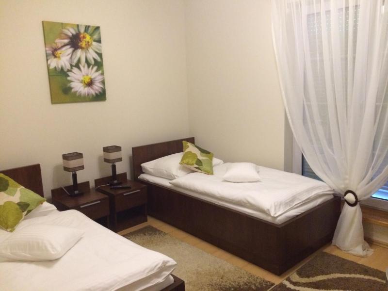 Two-Bedroom Family Apartment image 4