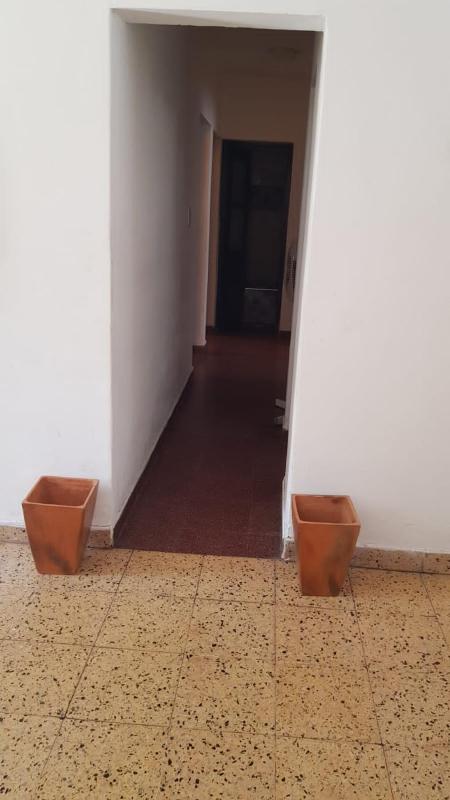 Reina - image 8