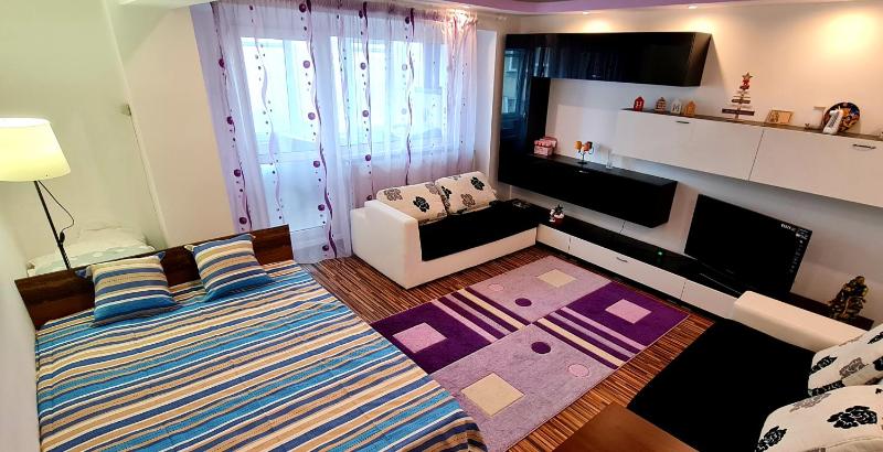 One-Bedroom Apartment image 1