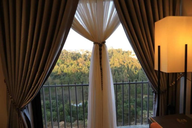 Deluxe Twin Room image 2