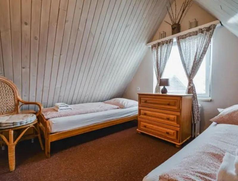 Family Room - Attic image 4