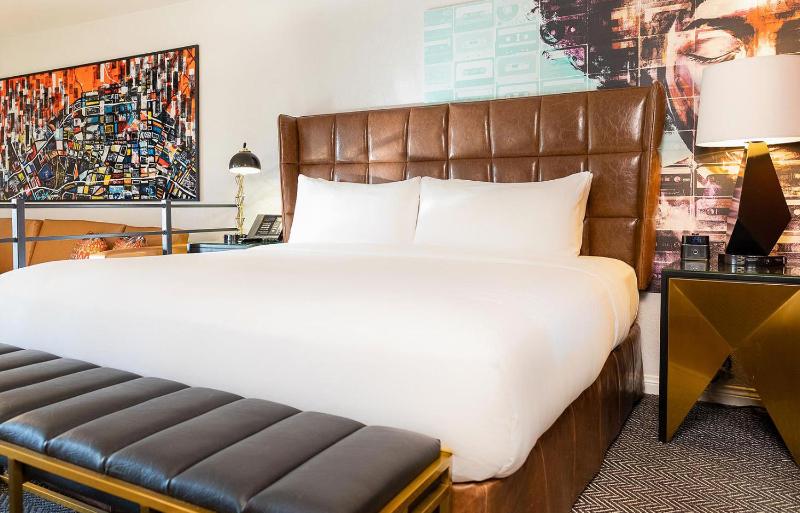 Deluxe King Suite image 3