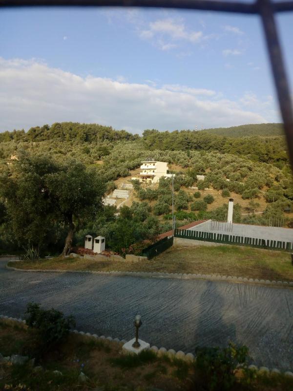 Villa Krini - image 41