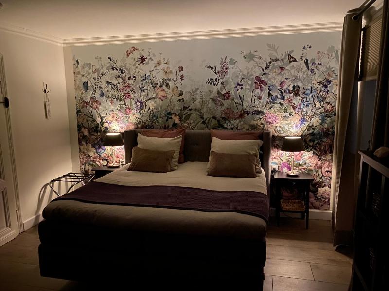Deluxe Double Room image 1