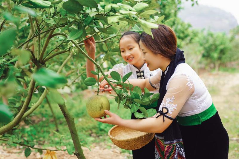 Ngô Gia Trang Farmstay Mộc Châu - Venue Travel - image 12
