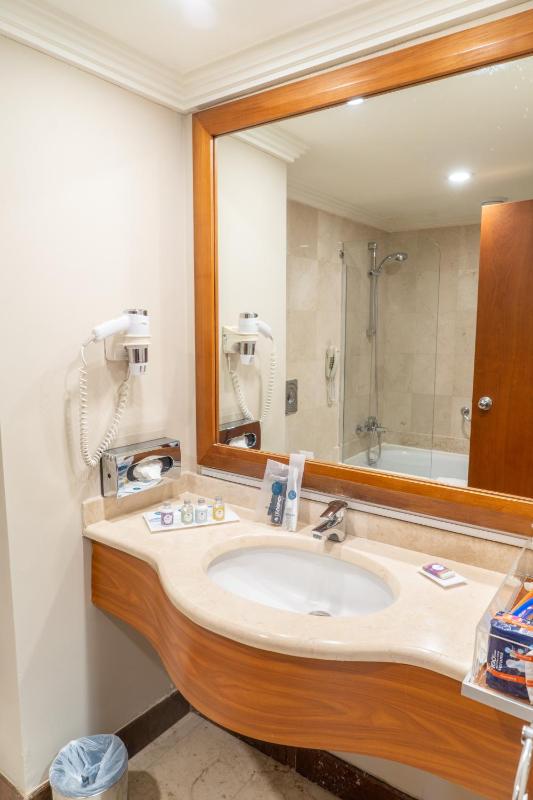 Single Room image 3