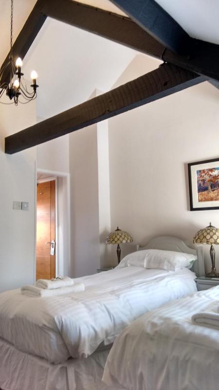 Superior Double or Twin Room image 2