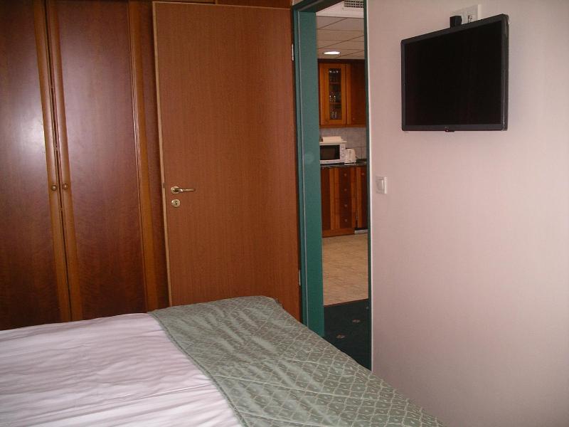 Large One-Bedroom Apartment image 4