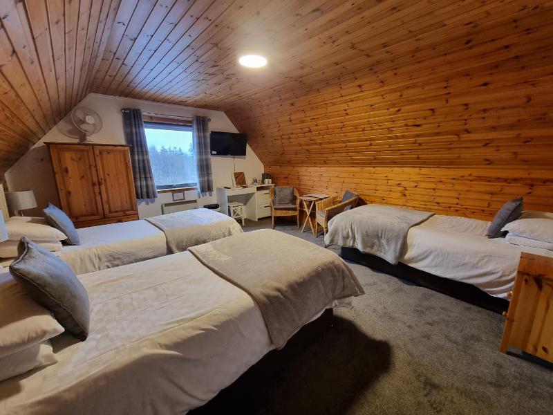 Standard Triple Room image 1