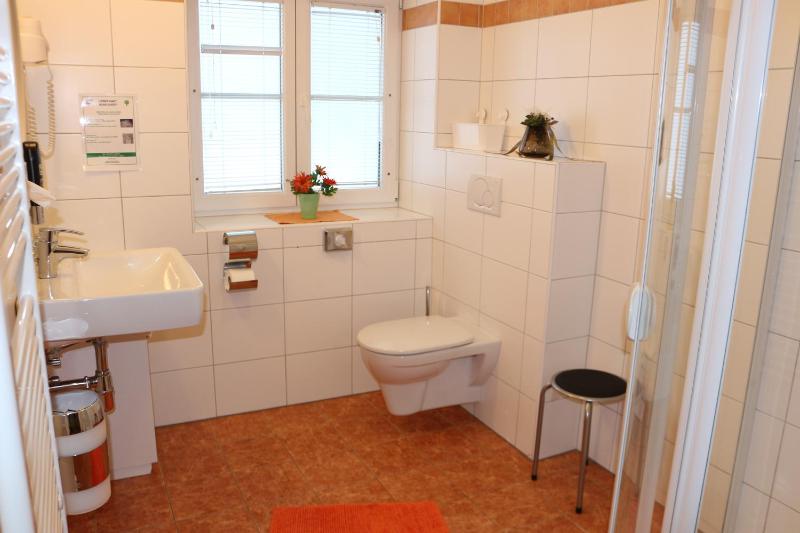 One-Bedroom Apartment image 3